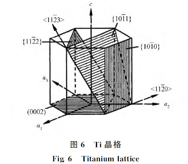 1672492248665898.jpg t6.jpg