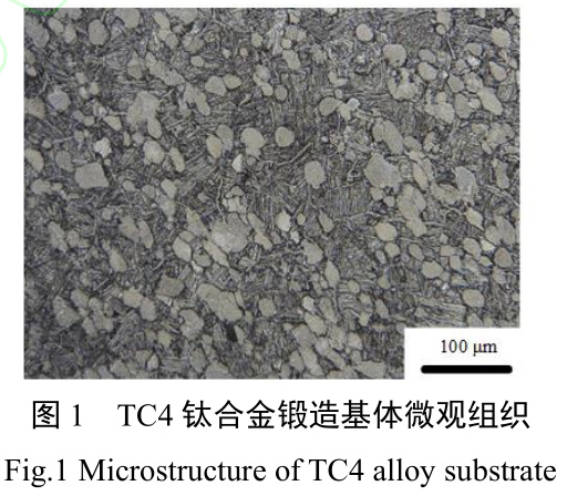 t1.jpg