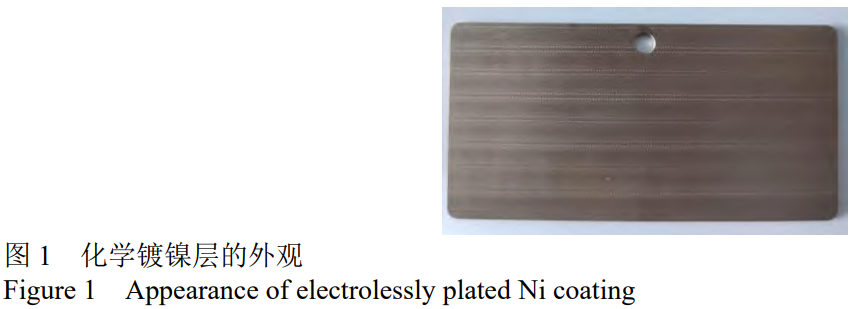 截圖20260210170134.png